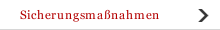 Sicherungsma&szlig;nahmen